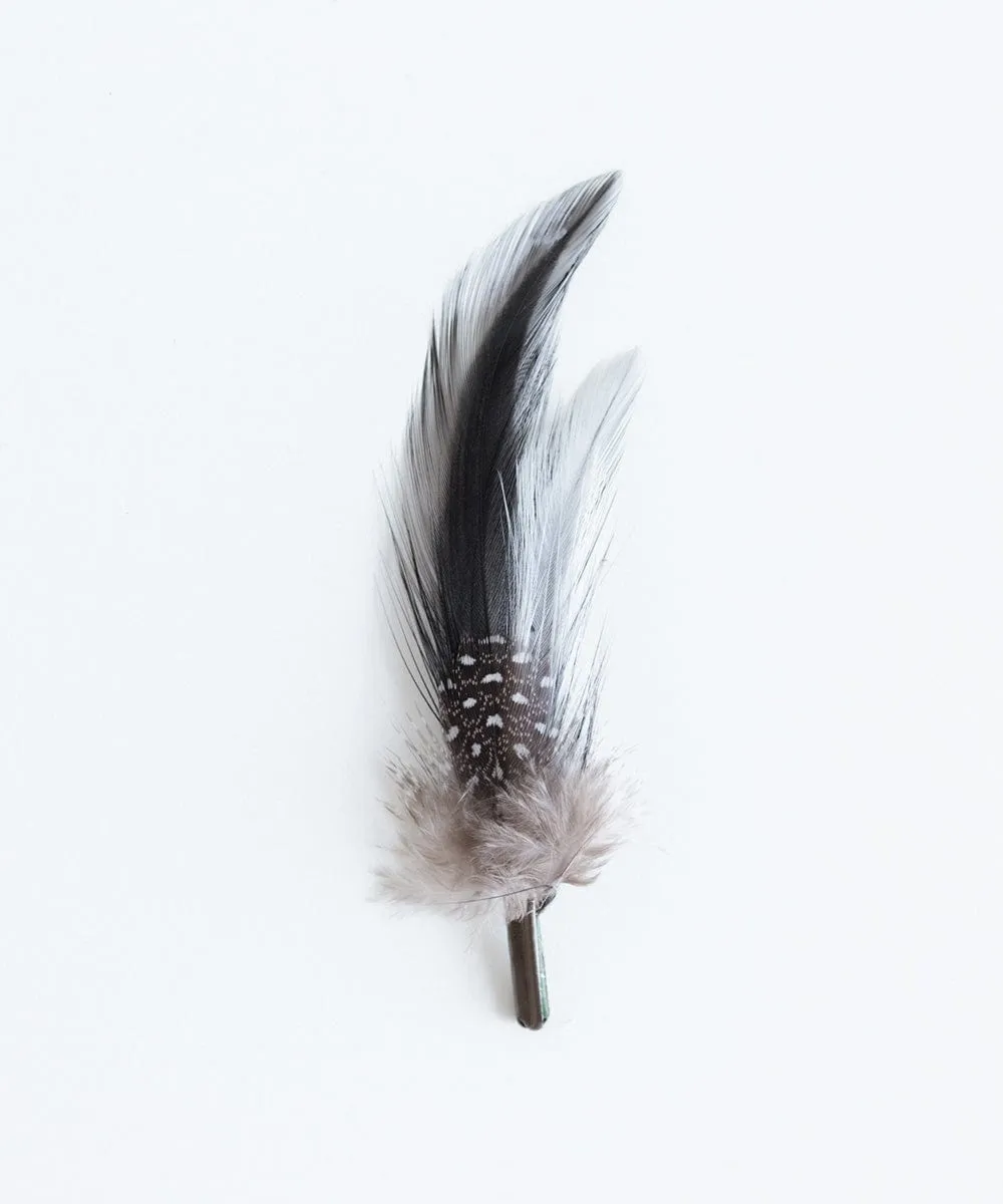 Black Feather
