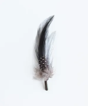 Black Feather