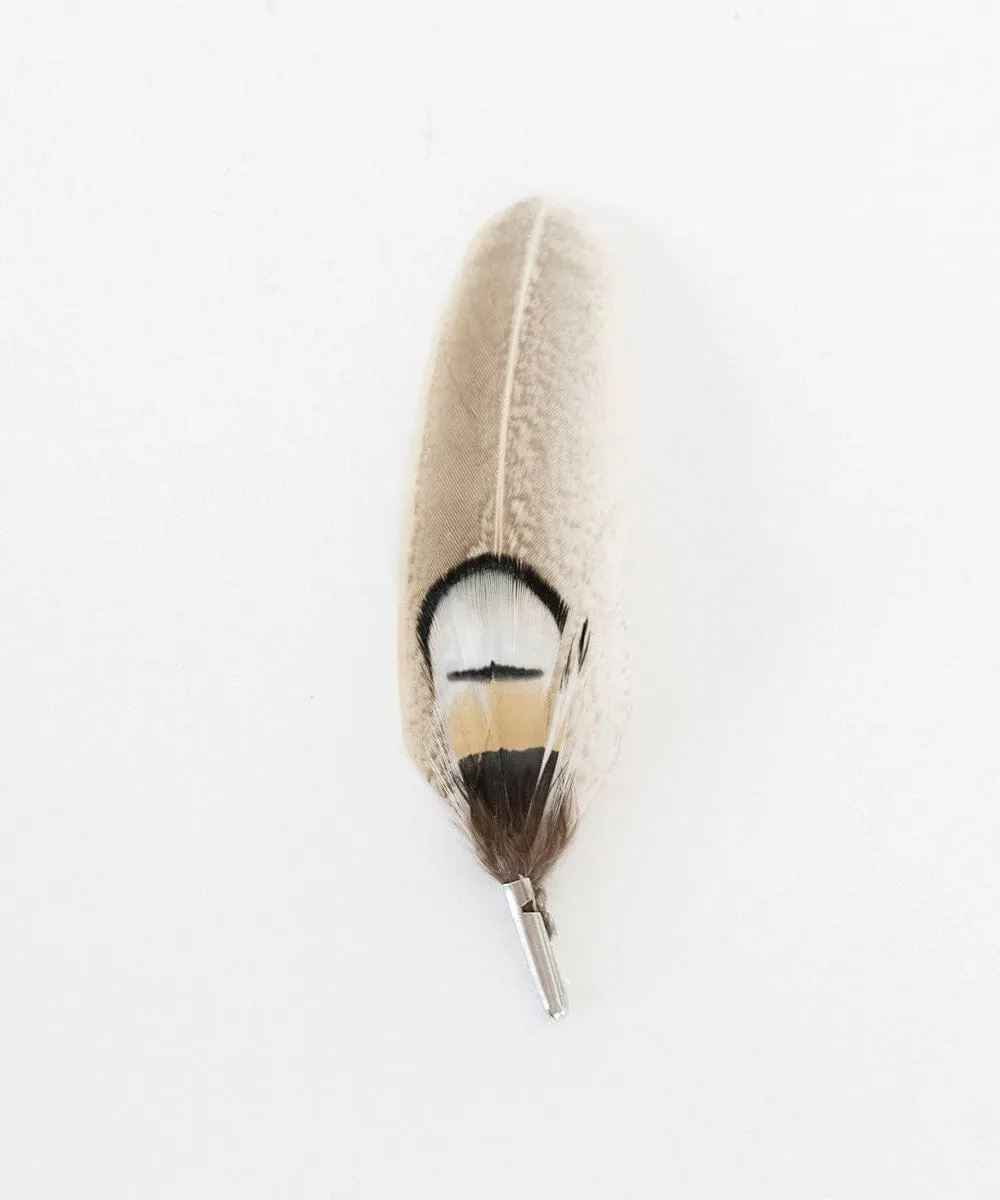 Taupe Feather